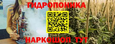 стафф Пенза