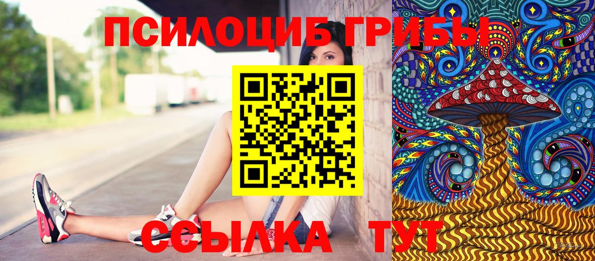 Галлюциногенные грибы мухоморы  Галлюциногенные грибы мицелий  Рассказово  Вход с VPN 